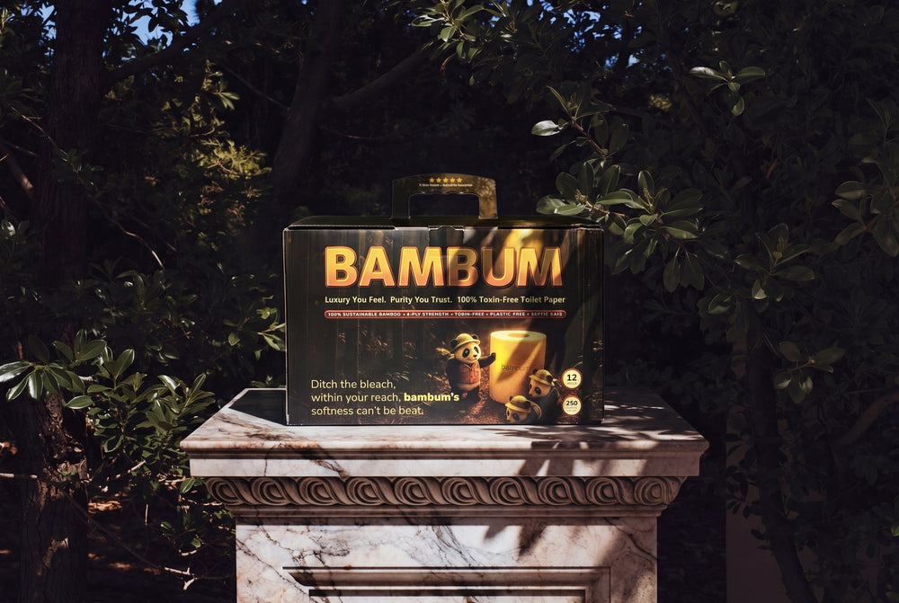 BAMBUM 48 Rolls Pack — on marble pedestal in palazzo garden