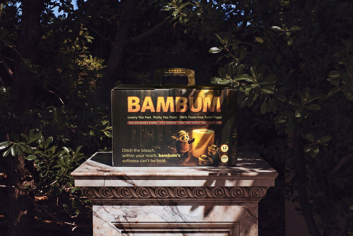 BAMBUM 12 Rolls Pack — on marble pedestal in palazzo garden