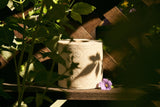 Bamboo Toilet Paper (v2 preview)