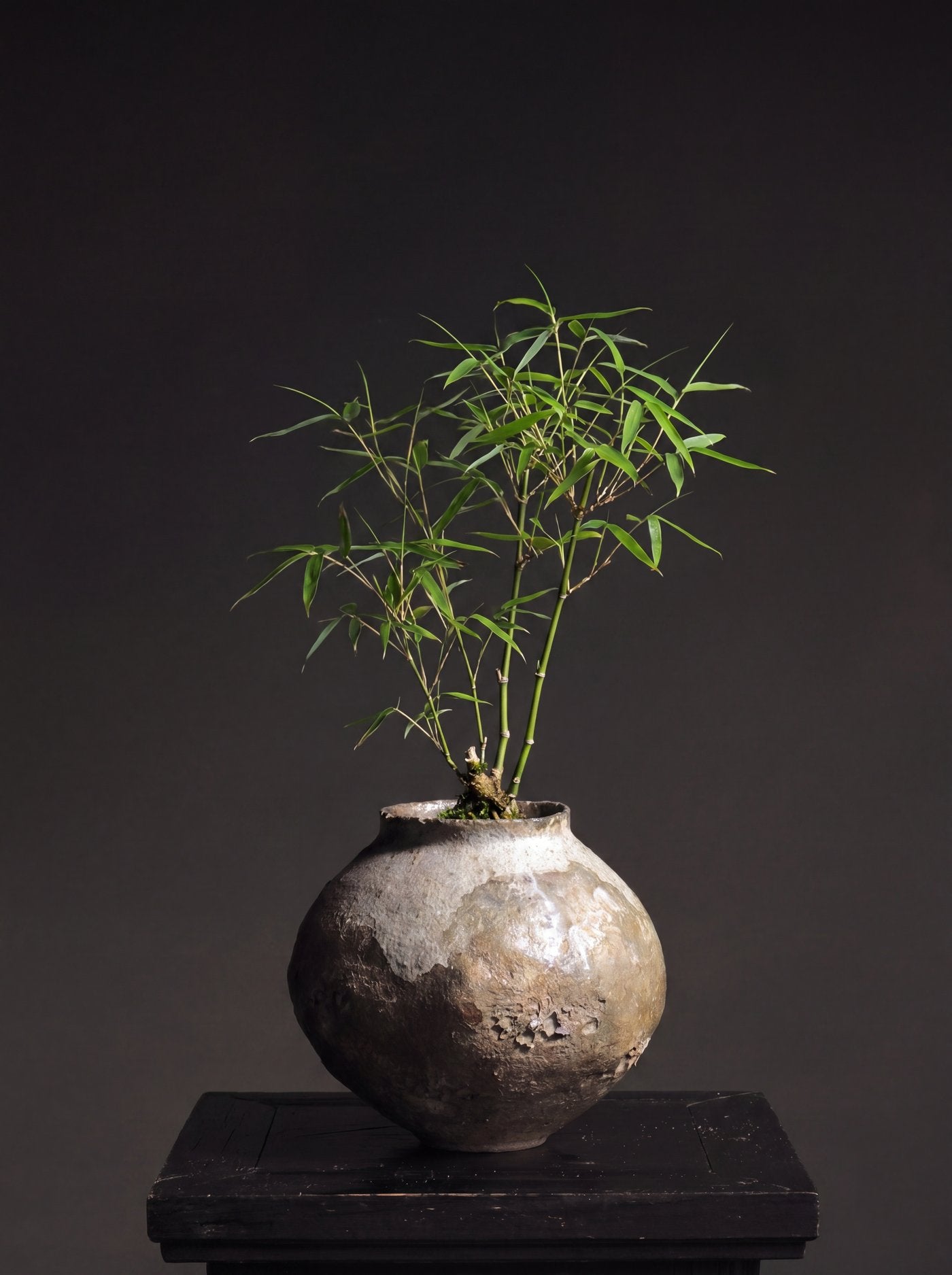 From Root To Roll