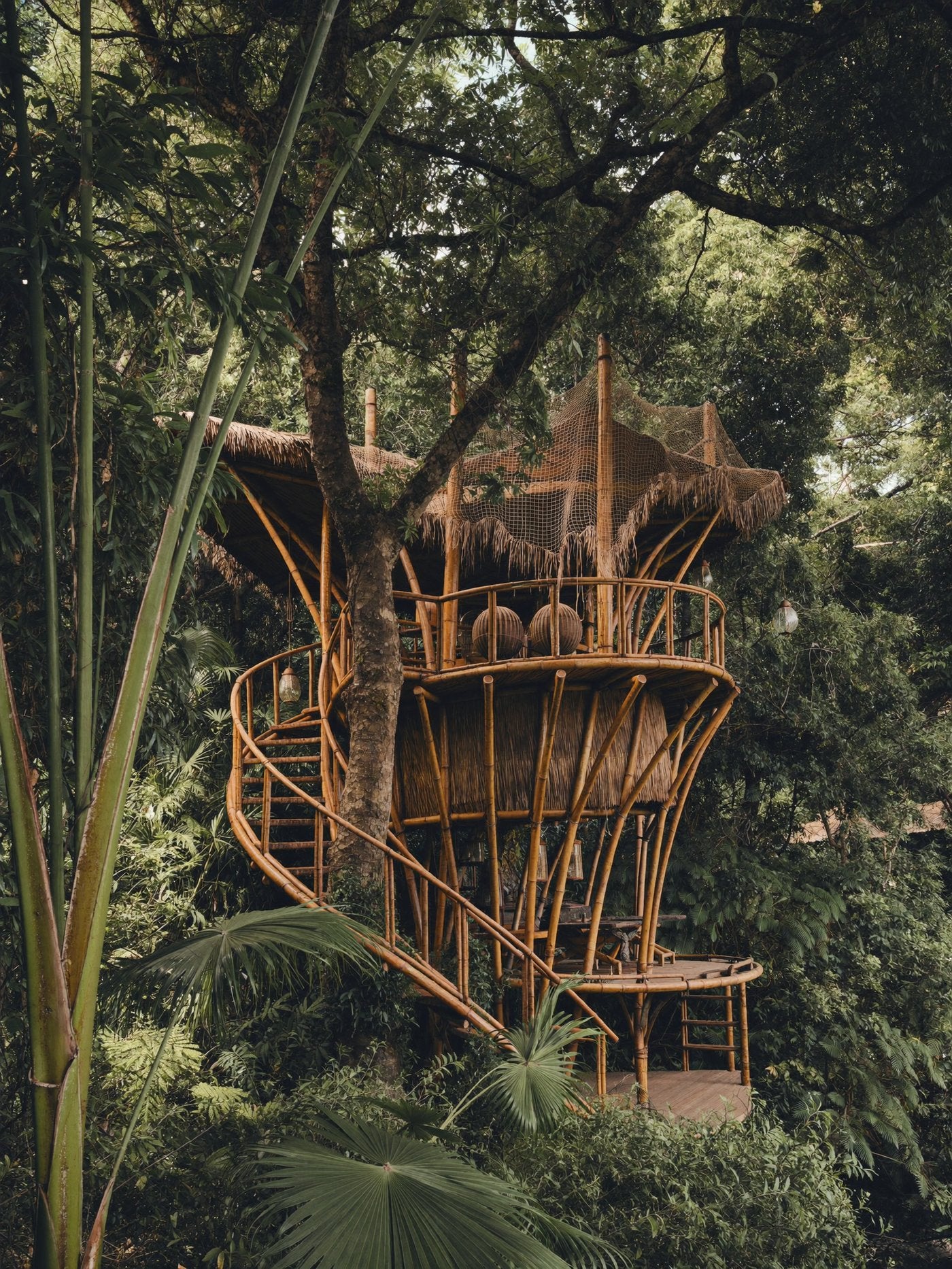 A bamboo structure in the forest