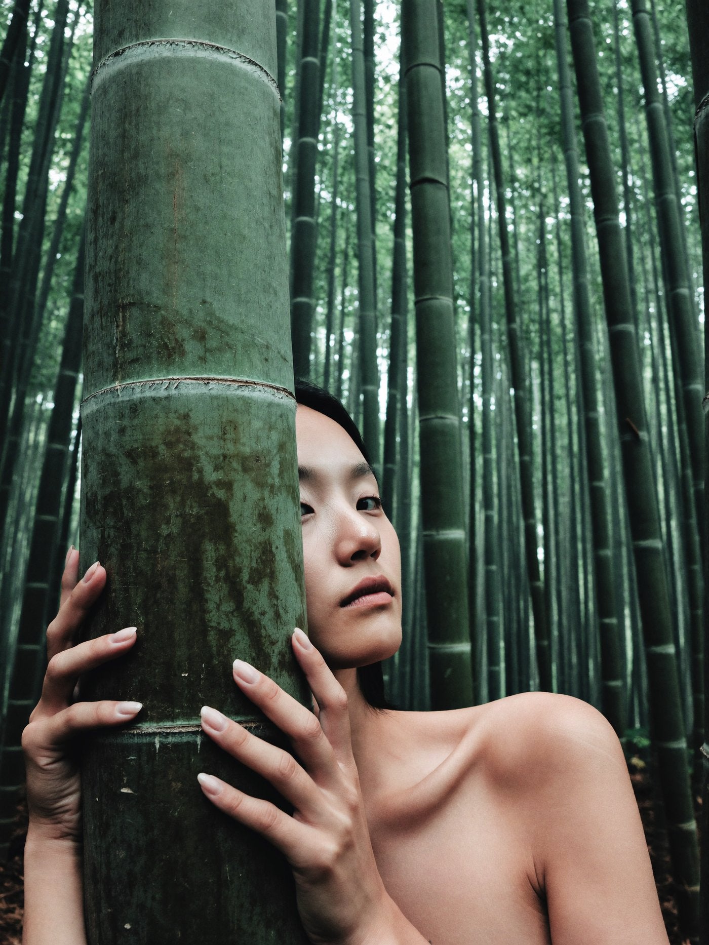 A figure behind bamboo stalks